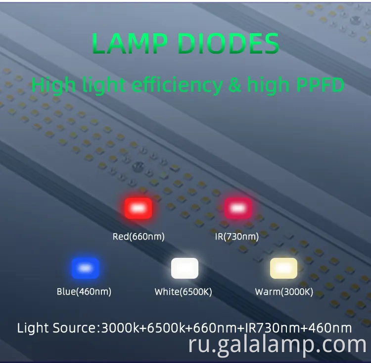 Выращивать светодиодное освещение для впечатляющего крытого растения фотосинтеза